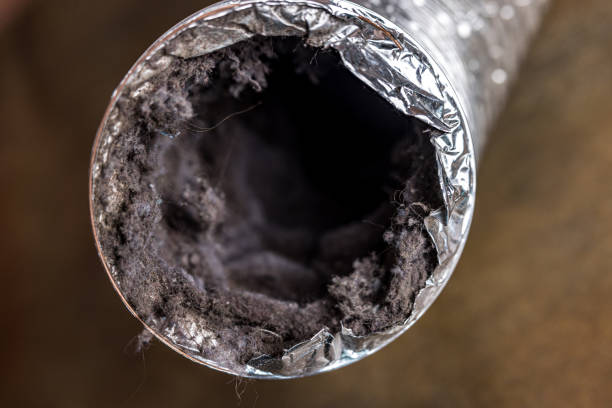Best Ventilation Cleaning Services  in Buxton, NC
